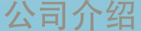 公司介绍